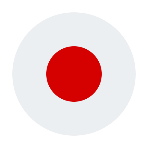 USA Flag